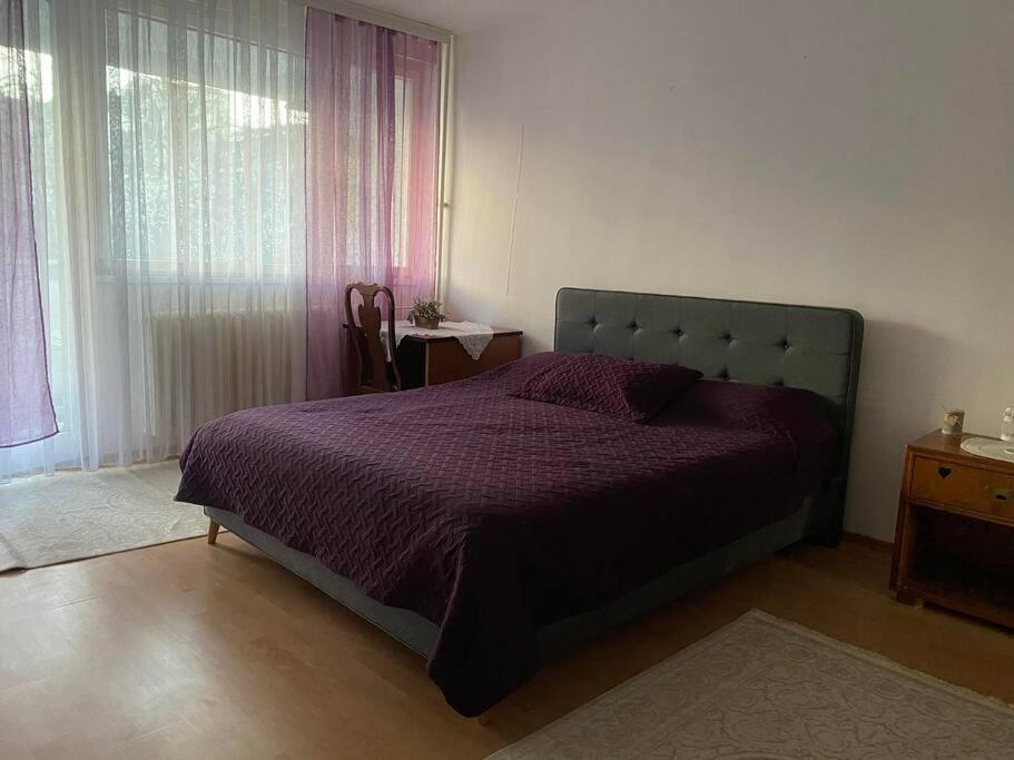 Pristina'S Hidden Gem Apartment Luaran gambar